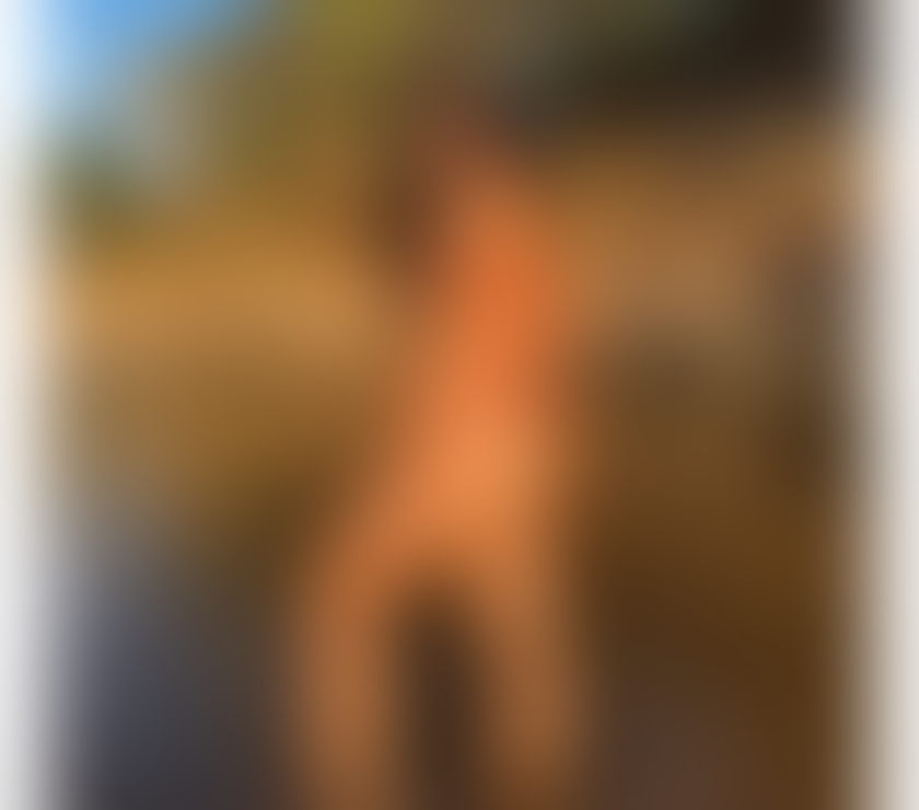 Escorts North West London Kilburn - North West London - Photos for ✨ Michelle – Relaxing & Elite Companionship in Kilbu